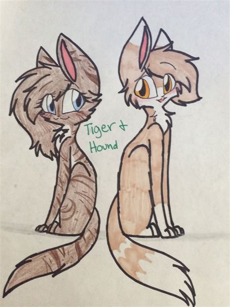 Breaking news baby wakes rocks out hdsjjdd newest and oldest. Tiger and Hound for @Legacy :3 | Warrior cat drawings ...