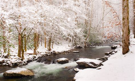 Tennessee Wilderness Act To Protect National Forest Selc