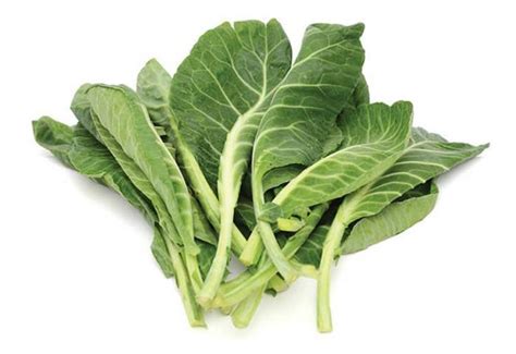 Top 15 Healthiest Green Vegetables You Should Be Eating Wonderslist