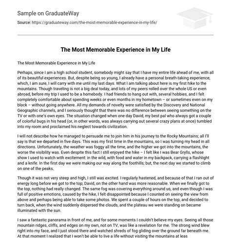 The Most Memorable Experience In My Life Narrative Free Essay Example