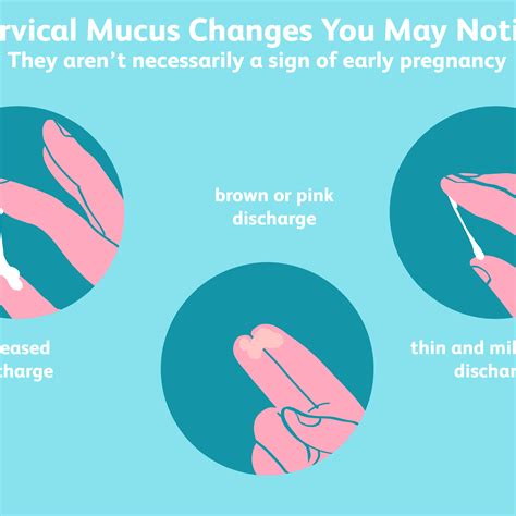Cervical Mucus Implantation