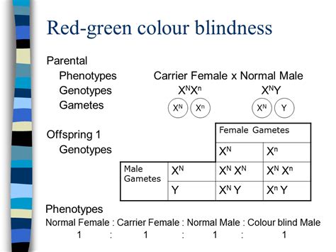 The father can contribute an x or a y chromosome, while the mother always contributes an x. Sex Linkage - Presentation Genetics