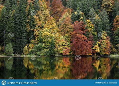 Autumn Fall Forest Reflection In A Lake With Amazing