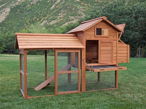 Imagine how you would feel shut in a small wooden box with your family. How To Build A Chicken Coop: How To Build A Chicken Coop ...