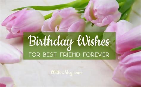 Birthday Wishes For Best Friend Male And Female Wishesmsg