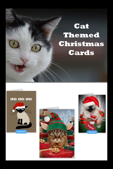 Cat Themed Christmas Cards The Cool Card Shop Cat Christmas Cards