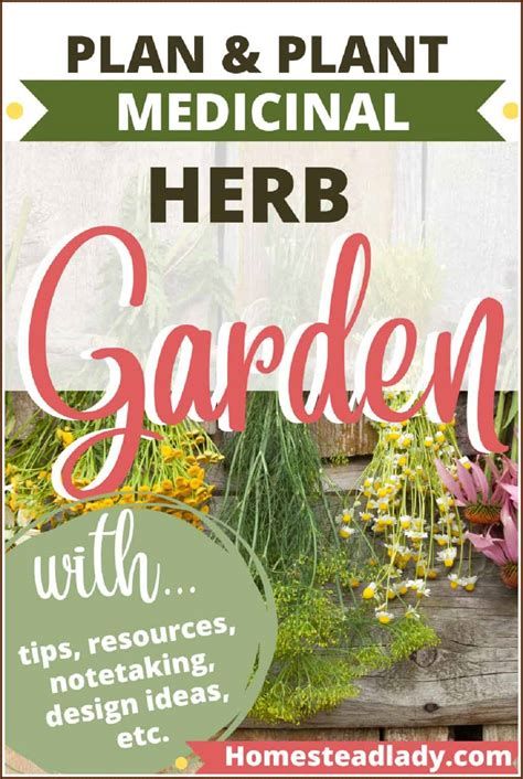 How To Plan A Medicinal Herb Garden Homestead Lady