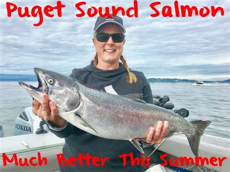 Puget Sound Salmon Much Better This Summer Pautzke Bait Co