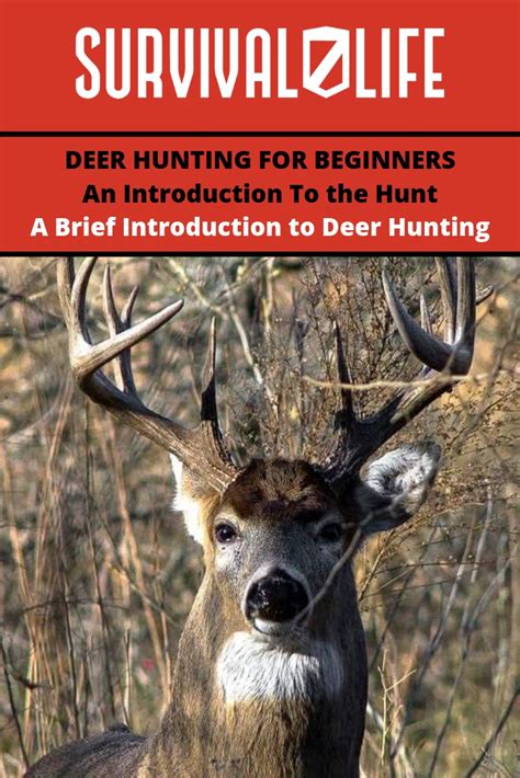 Because of their size, distribution, and (overall) abundance, these fleet, watchful ungulates (hoofed mammals) have been prized quarry for hunters since prehistory. Deer Hunting for Beginners | A Brief Introduction to Deer ...