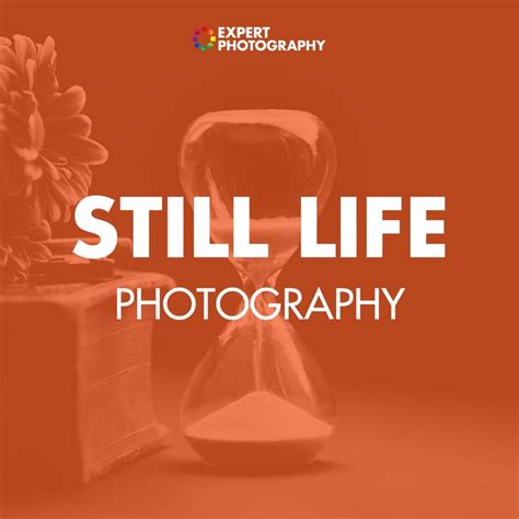Best Still Life Photography Tutorials Expertphotography Still Life