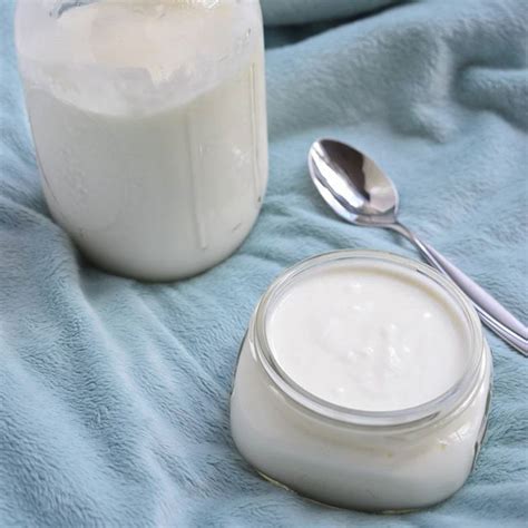 Coconut Sour Cream Paleo Aip Dairy Free Instant Pot Sour