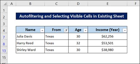 Excel Vba Select Visible Cells After Autofilter Examples