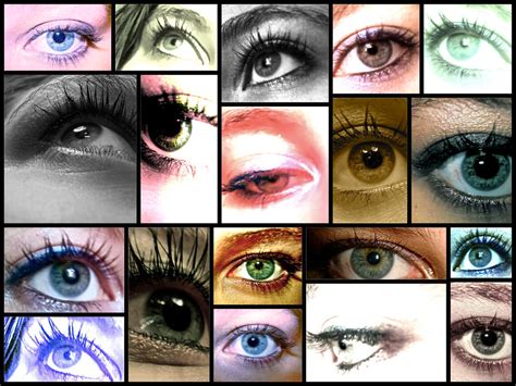 Eye Collage By Funkmastaflynn On Deviantart
