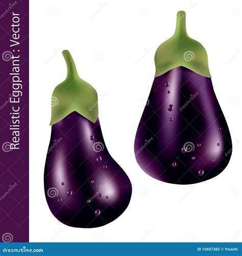Realistic Eggplant Stock Vector Illustration Of Realistic 15607382