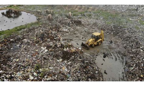 Elephants dying from eating plastic waste in Sri Lankan dump