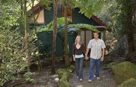Check spelling or type a new query. Springbrook Lyrebird Retreat cabins - private and secluded ...