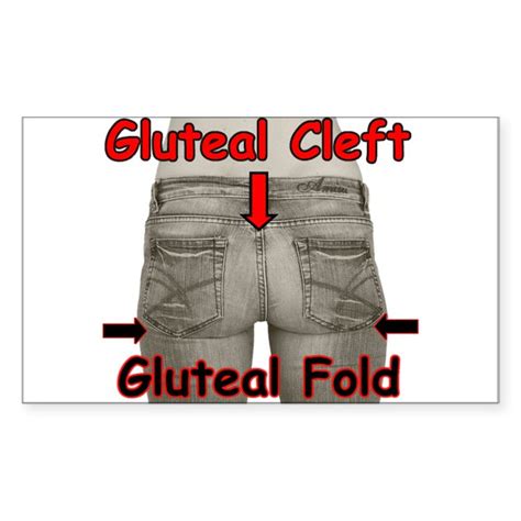 Gluteal Foldgluteal Cleft Rectangle Decal By Gluteal
