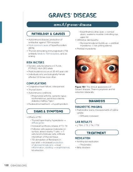 Graves Disease Video Anatomy Definition And Function Osmosis