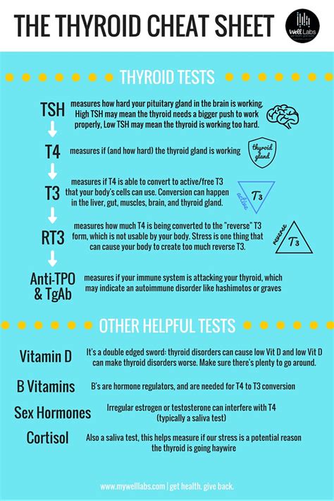 The Thyroid Cheat Sheets Well Labs
