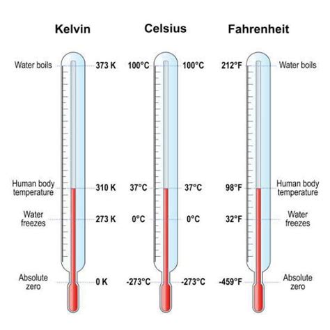 What Are The 5 Temperature Scales Printable Templates Protal