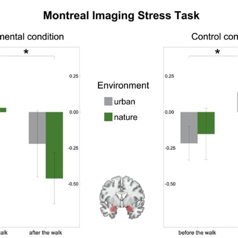 Amygdala Activity In The Montreal Imaging Stress Task Mist In Women