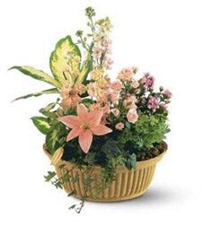 After the death of someone, you can of course want to send flowers. Funeral and Sympathy Flowers Etiquette-FromYouFlowers.com