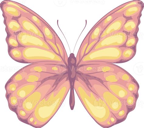 ilustração linda pintura de borboleta 9597675 PNG