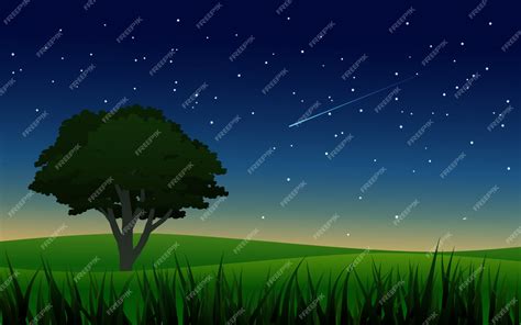 Premium Vector Night Scenery In Meadow With Starry Sky