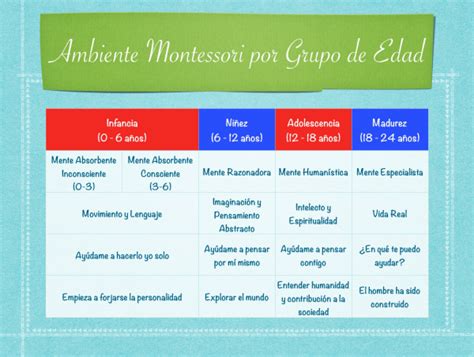 Características De Los 4 Planos De Desarrollo Montessori Infancy Life