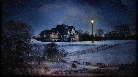 House Lights Nature Trees Forest Night Winter Snow