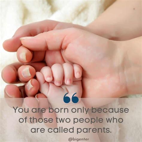 New Mom And Dad Quotes Cullenviwbys