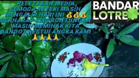 Namun menguntungkan bagi kita rumusan angka yang kami racik secara. PREDIKSI ANGKA GAIB SYDNEY HK HARI INI SABTU TANGGAL 30 ...