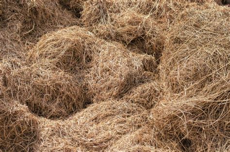 Texture Of A Bale Of Dry Straw Stack Of Chaotically Stacked Yellow Hay