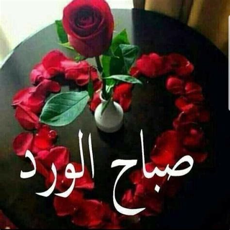 ابحث عن فيلم او مسلسل او لعبة او برنامج. عن وردة وفل - ØµÙˆØ± ÙˆØ±Ø¯ ÙˆÙ Ù„