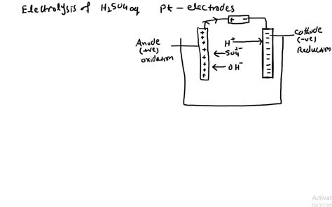 A Draw A Labelled Diagram To Show The Electrolysis SolvedLib