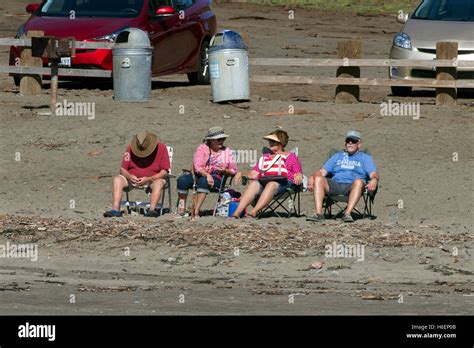 Two Older Couples Chilling At Beach Stock Photo Alamy
