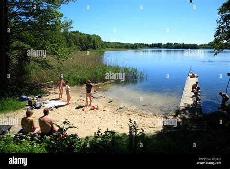 Kleinen Sandstrand Am Lassahn Schaalsee Mecklenburg Western Pomerania Deutschland Europa