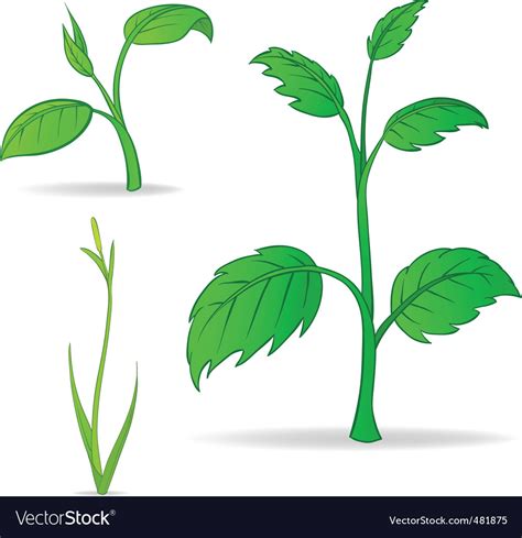 Pura naturals stock analysis & ratings. Set of green cartoon plants Royalty Free Vector Image