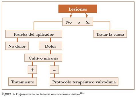A esta molestia se le ha llamado como el dolor de abajo o también como el dolor. Vulvodinia: clasificación, etiología, diagnóstico y manejo ...