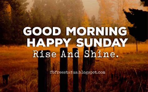 Inspirational Sunday Quotes That Will Inspire You | Sunday quotes, Happy sunday quotes, Sunday 