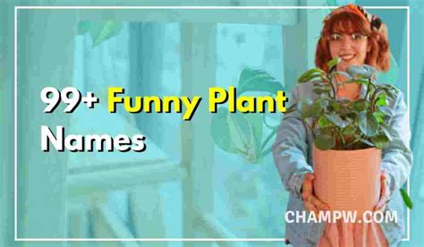 99 Funny Plant Names For Your Dear Little Plant