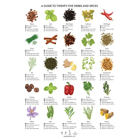 Herbs And Spices Guide Poster A4a3a2 Kitchen Print Food Etsy België