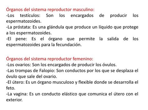 Sistema Reproductor