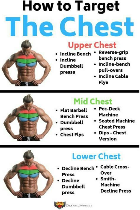 Muscle Fitness Chest Workout Routine Best Chest Workout Workout Guide