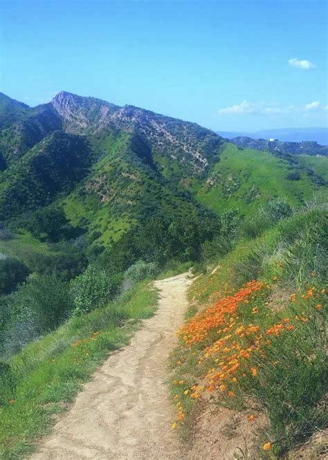 You can see how to get to sunflorist on our website. Towsley Canyon Santa Clarita California USA #hiking # ...