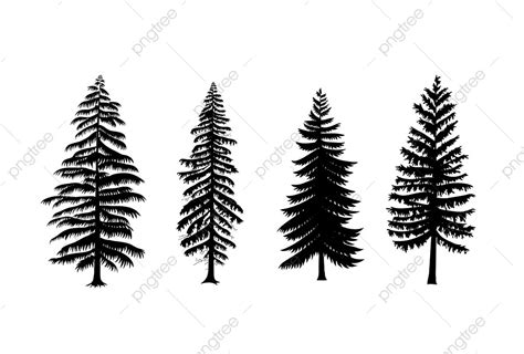 White Pine Tree Silhouette Vector Png Collection Of Pine Trees Vector
