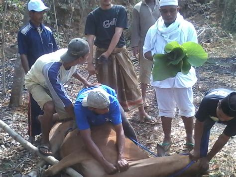 Aljazirah Media Tata Cara Menyembelih Hewan Qurban