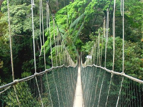 Secara umum definisi negara bisa dipenuhi jika terdapat warga, pemerintahan, wilayah dan secara definisi, negara bukan hanya berarti area wilayah yang ditempati. The Million Years Old Taman Negara - Malaysia - World for ...