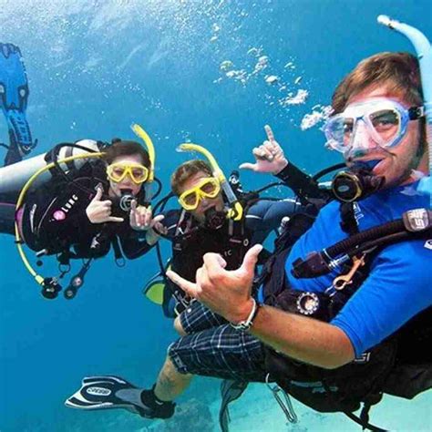 Good Reasons To Try Scuba Diving Pattaya Seafari
