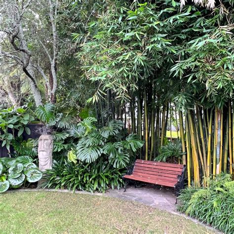 Gardens To Visit Auckland Garden Designfest
